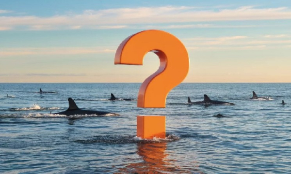 Latam Insights: банковская система Венесуэлы будет использовать стейблкоины