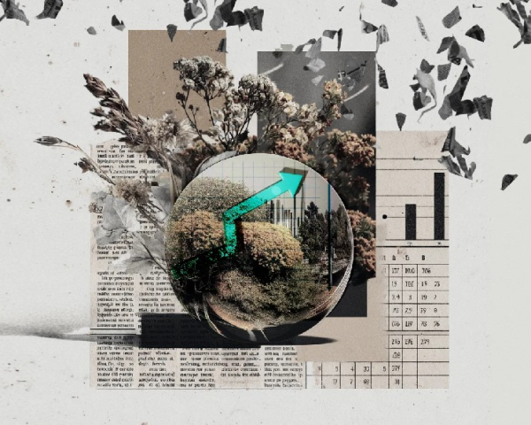 Поколение Z стало главной аудиторией платформ предсказаний