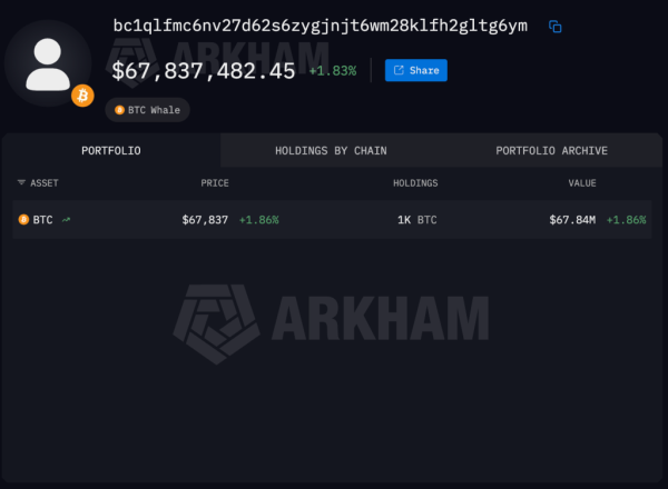 Биткоин-кит потерпел убыток в $55 млн при продаже биткоина