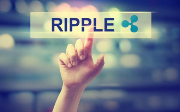 Владельцы XRP несут убытки на $51 млрд